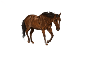 Monetização de Conteúdo Digital: 5 Estratégias Eficazes para Lucrar com Seu Blog ou Canal